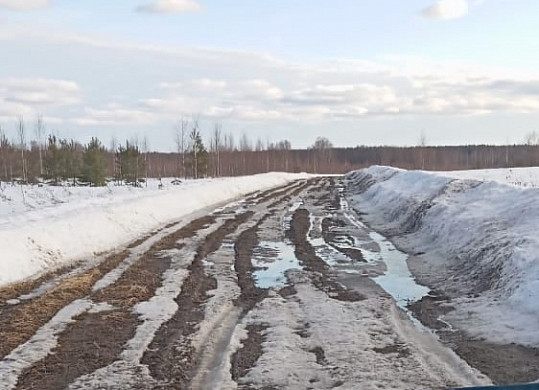 Дорогу в деревню Ожерельево не могут сделать уже 10 лет